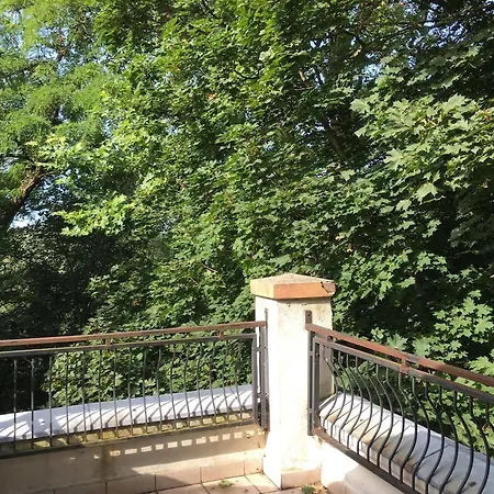 Hotel Palac W Witoslawiu Osrodek Apifitoterapii Apiherba *